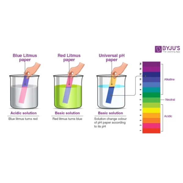 Litmus Red:Blue test Paper 2